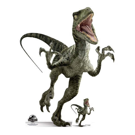 SC1288 Official Jurassic World Charlie (Raptor) Dinosaur Cardboard Cut Out Height 129cm