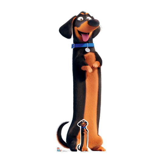 SC1376 Buddy Sausage Dog Secret Life of Pets Cardboard Cut Out Height 131cm