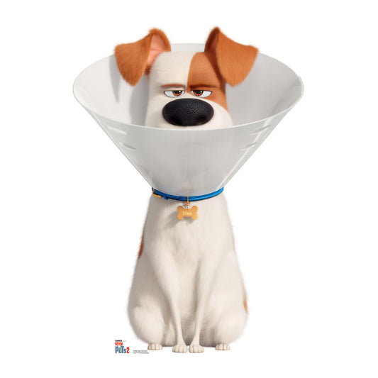 SC1383 Max the Dog wearing a Cone Collar Cardboard Cut Out Height 92cm