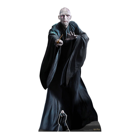 Cardboard Cutout of Lord Voldremort