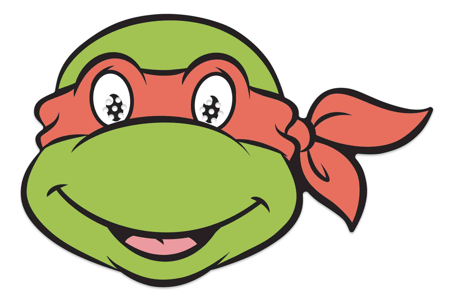 SMP465 Teenage Mutant Ninja Turtles 6 Pack Cardboard Face Masks