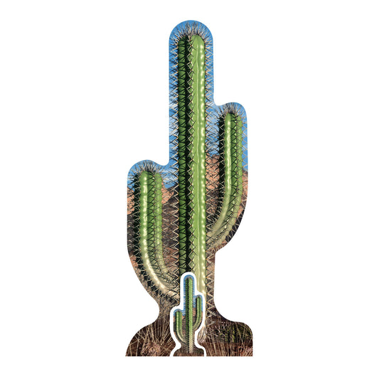 SC583 Cactus Single Cardboard Cut Out Height 183cm