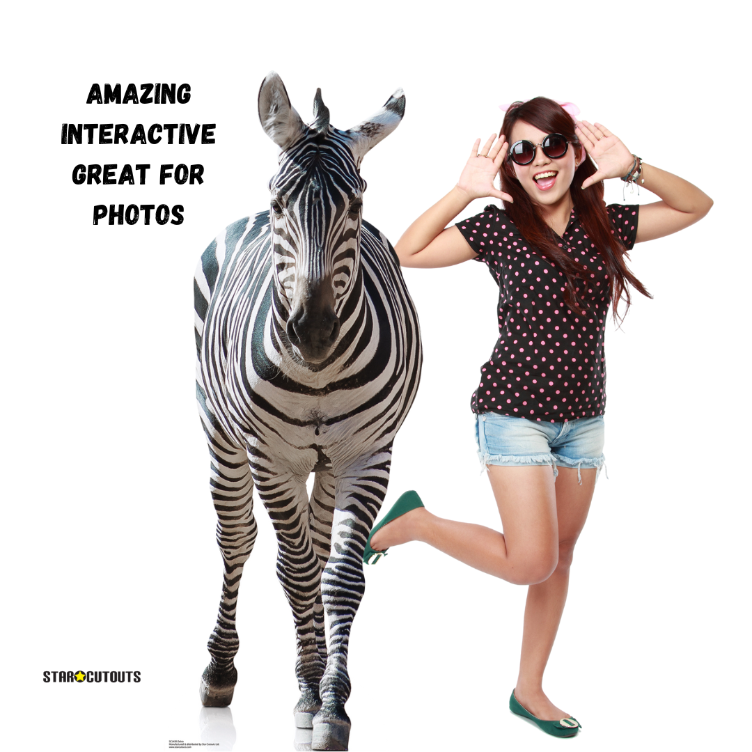 SC1439 Adult Zebra Black and White Cardboard Cut Out Height 162cm