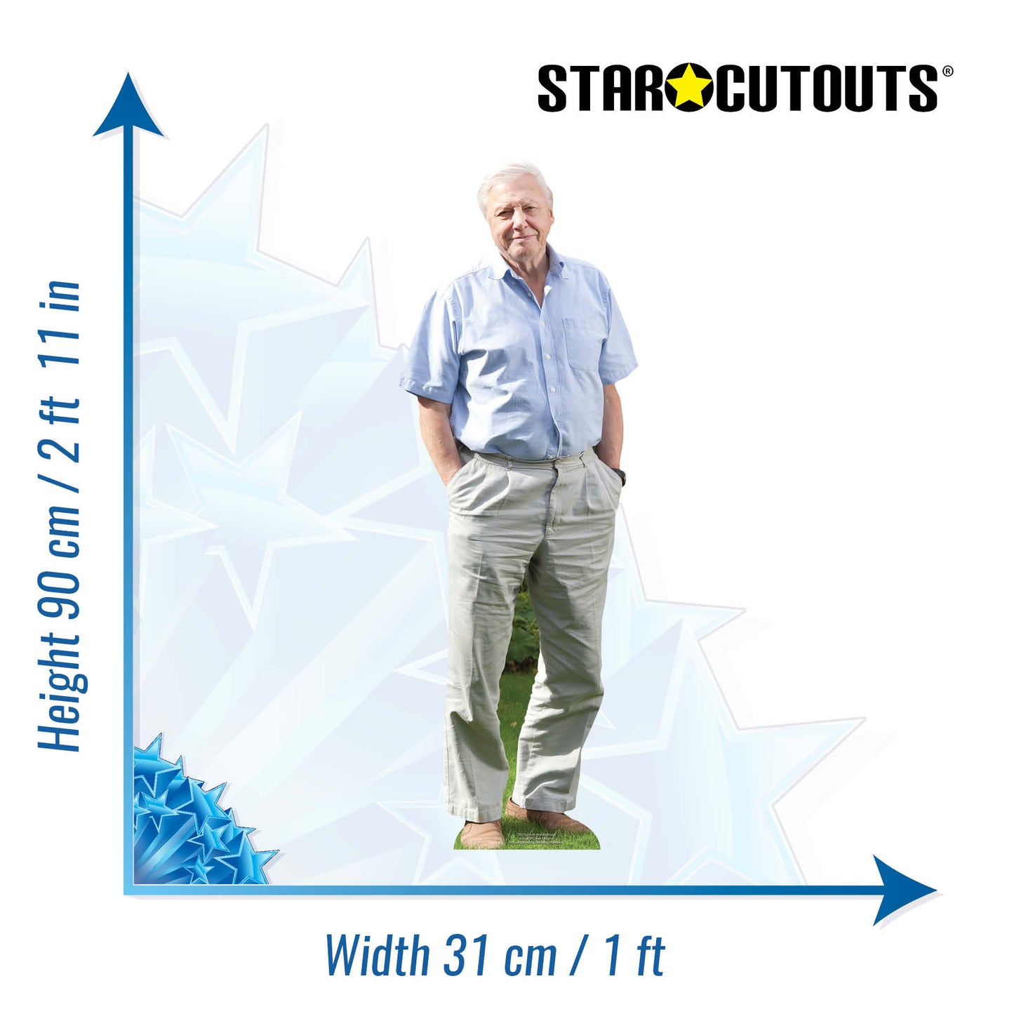 CS915 David Attenborough (Star Mini) Height 90cm Small Cardboard Cut Out