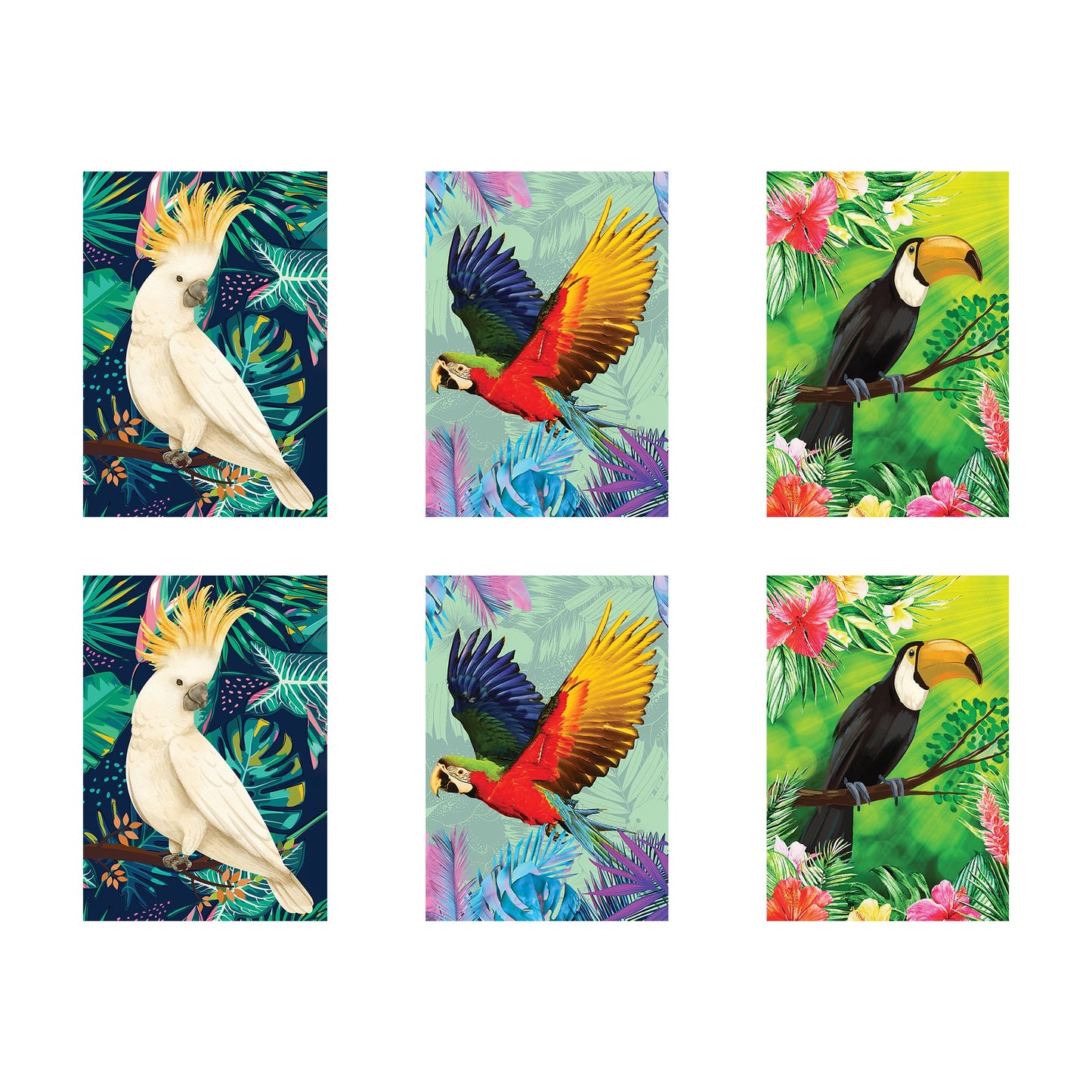 RD085 Tropical Bird  2 x Cockatoo 2 x Parrot 2 x Toucan  Six Large Prints Room Decor Pack Cardboard Cut Out Height 44cm