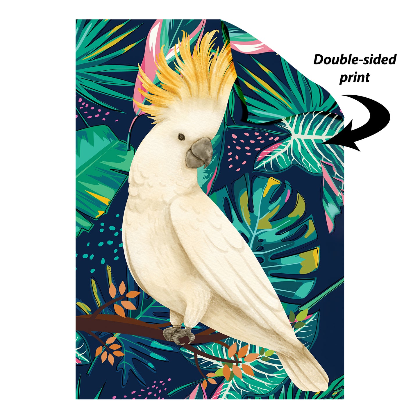 RD085 Tropical Bird  2 x Cockatoo 2 x Parrot 2 x Toucan  Six Large Prints Room Decor Pack Cardboard Cut Out Height 44cm