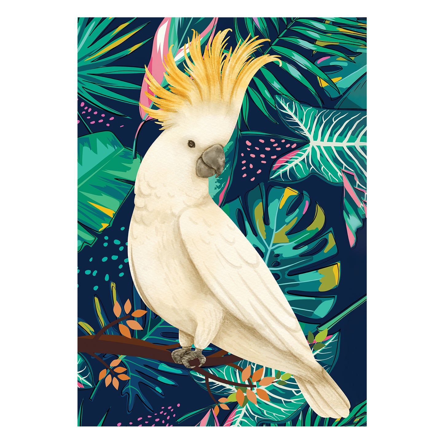RD085 Tropical Bird  2 x Cockatoo 2 x Parrot 2 x Toucan  Six Large Prints Room Decor Pack Cardboard Cut Out Height 44cm