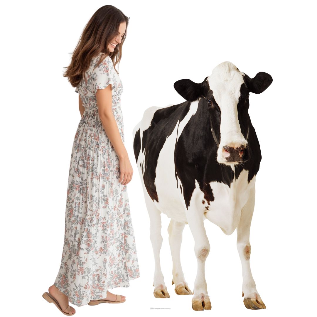 SC163 Cow Cardboard Cut Out Height 165cm – Star Cutouts