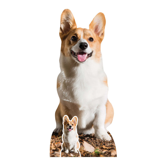 SC4064 Cute Corgi Dog Cardboard Cut Out Height 76cm