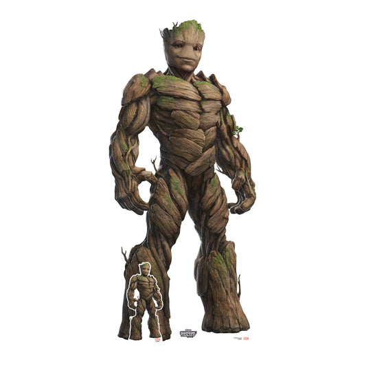 SC4278 Groot Large Guardians of the Galaxy Three Marvel Lifesize Cardboard Cut Out With Mini Height 195cm
