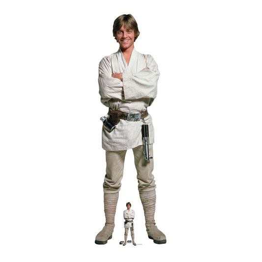 SC4323 Luke Skywalker Star Wars Cardboard Cut Out Height 174cm