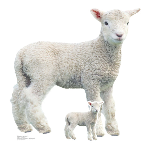 SC4438 Lamb Farm Animal Cardboard Cut Out Height 74cm