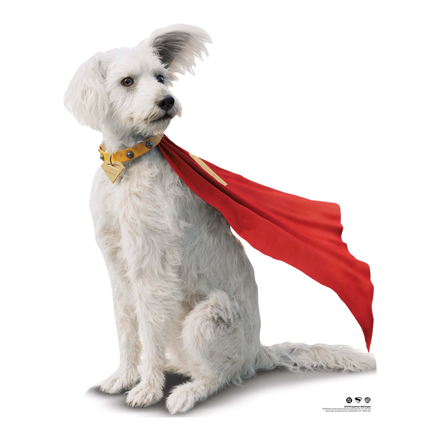 SC4732 Superman 2025 Movie Krypto Cardboard Cut Out Height 94cm