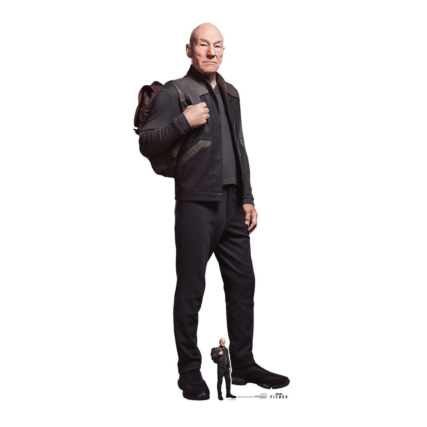 Picard Cardboard Cut Out Height 178cm Star Trek