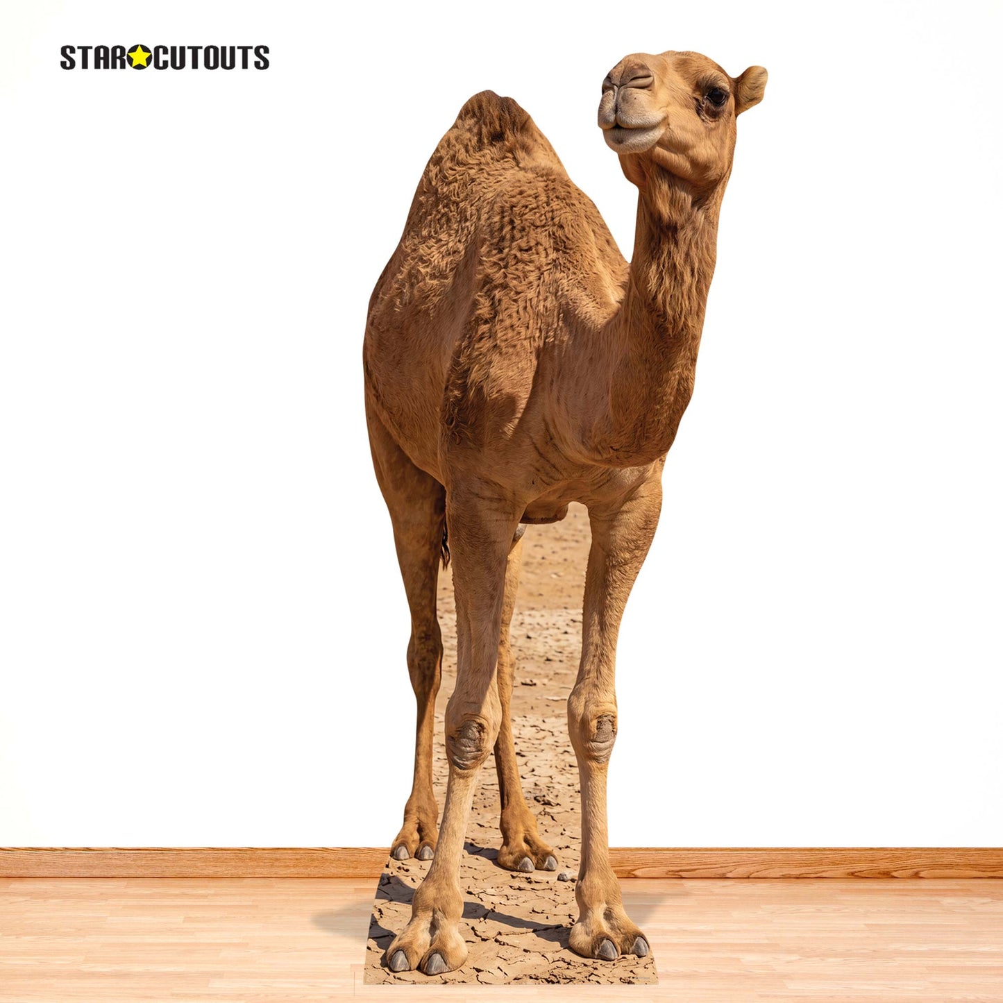 SC4973 Camel in Desert Cardboard Cutout Height 193cm