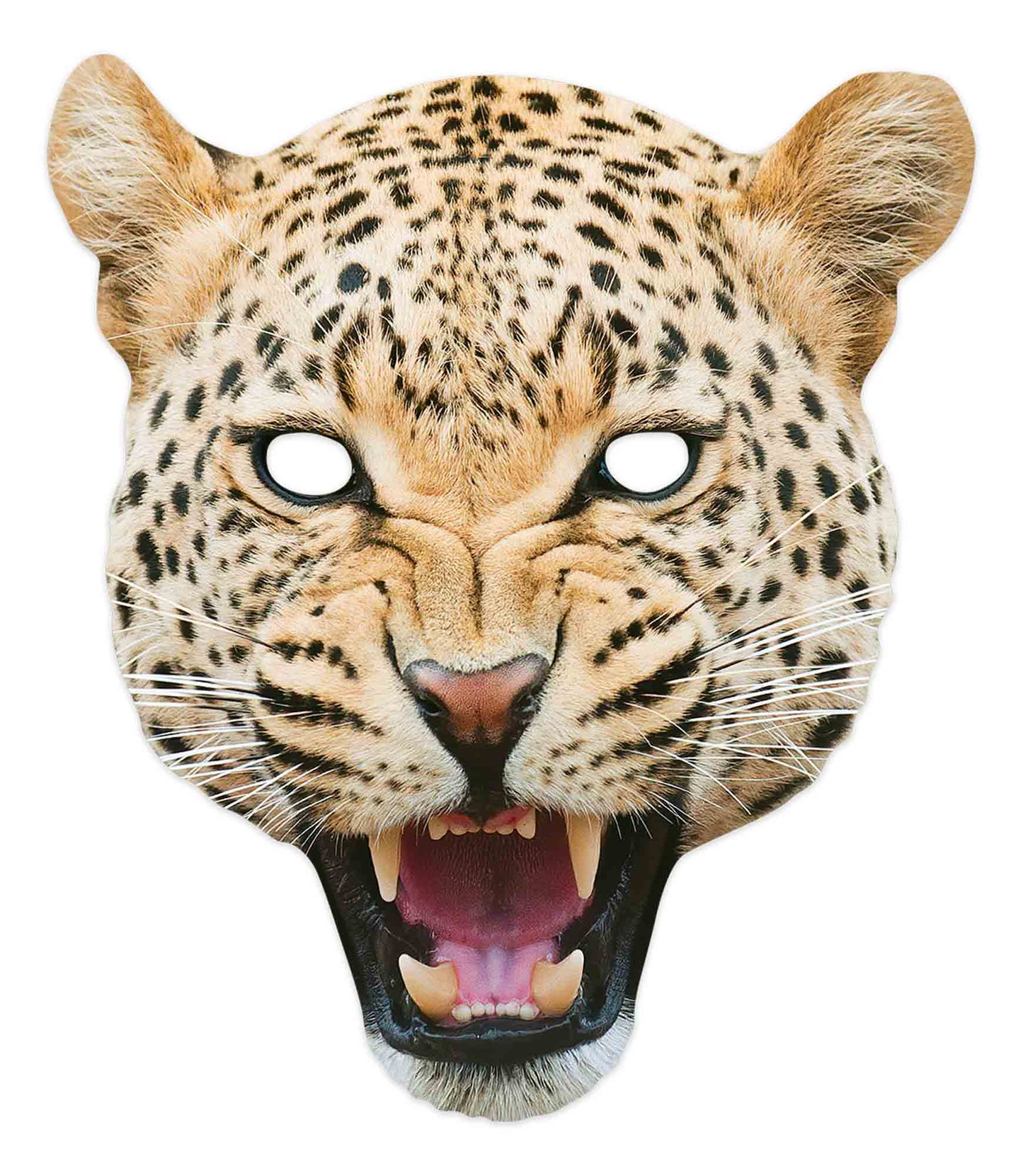 SM391 Leopard Animal Single Face Mask