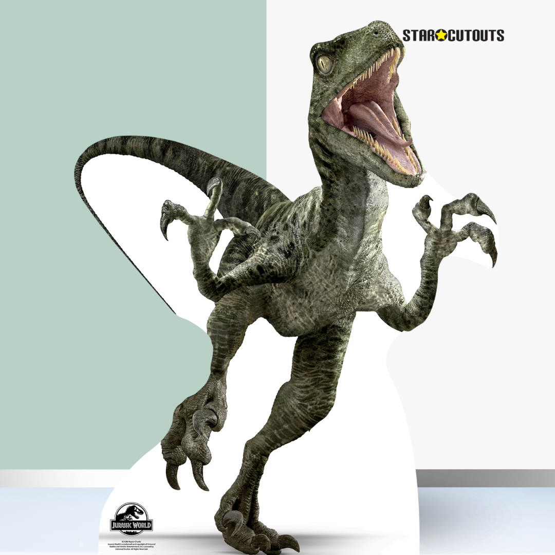 SC1288 Official Jurassic World Charlie (Raptor) Dinosaur Cardboard Cut Out Height 129cm