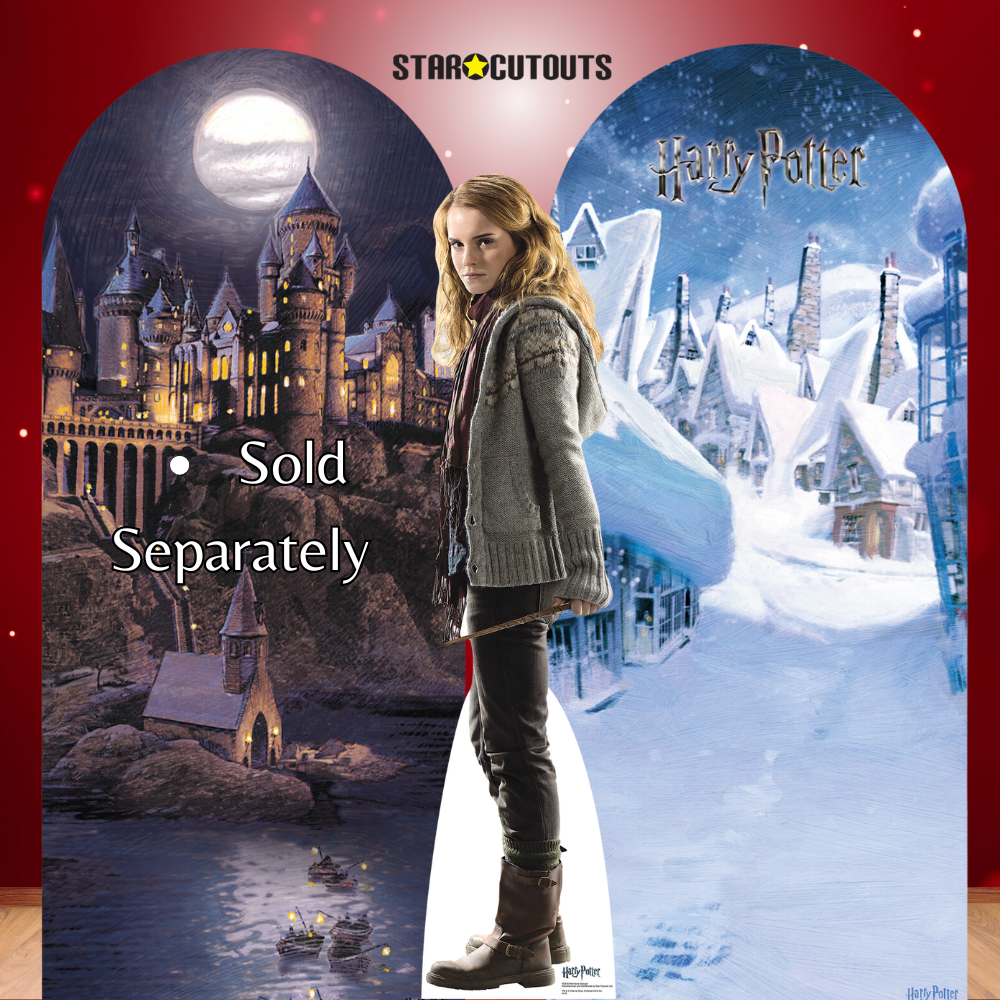 SC640 Hermione Granger Cardboard Cut Out Height 170cm