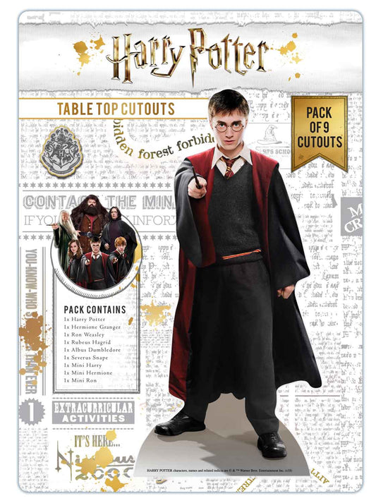 TT008 Wizarding World of Harry Potter Table Toppers Pack