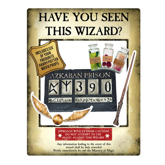 SC1419 Harry Potter Wanted Poster  Gold Selfie Frame Height 87cm
