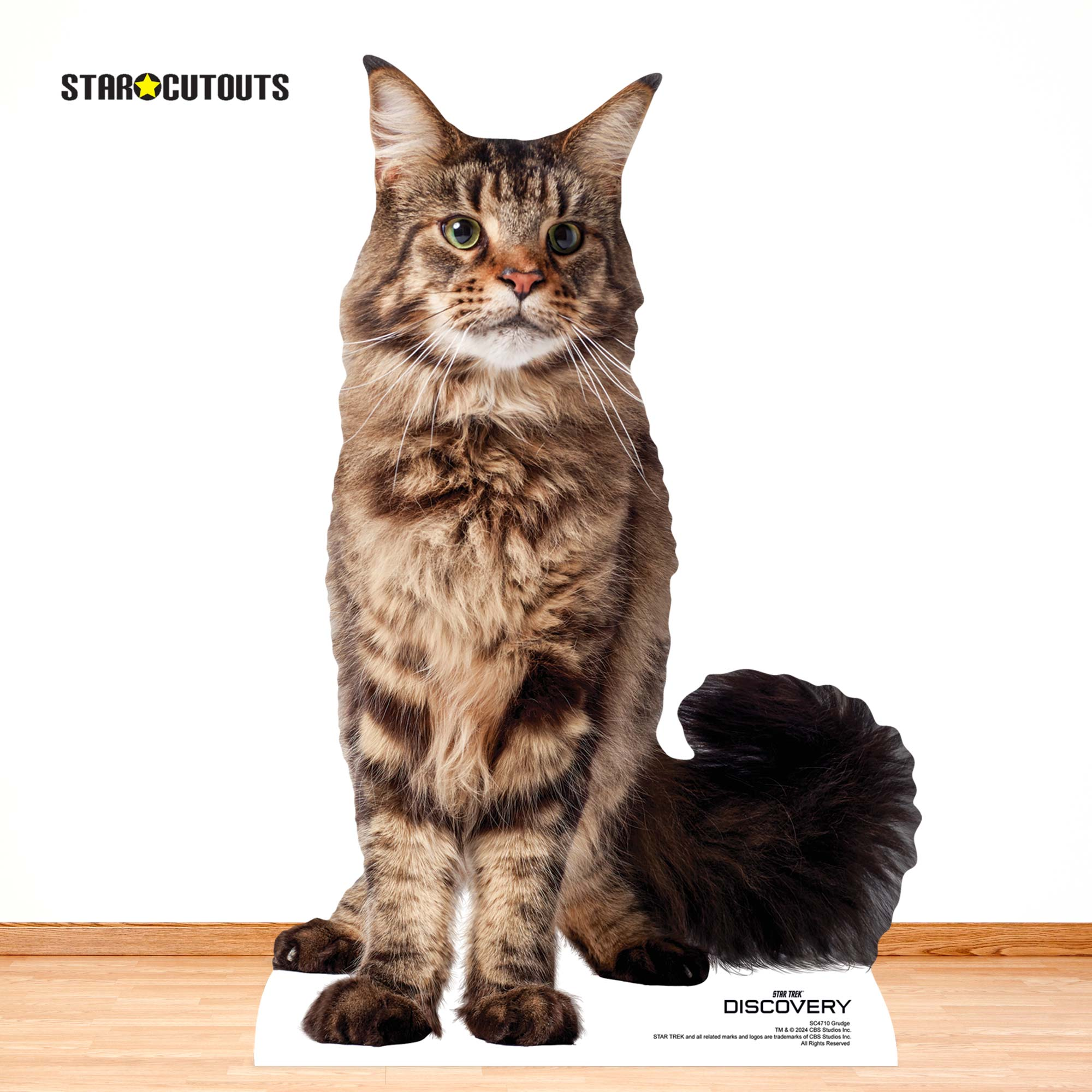 Cardboard Cutouts A Guide to Sizes Star Cutouts