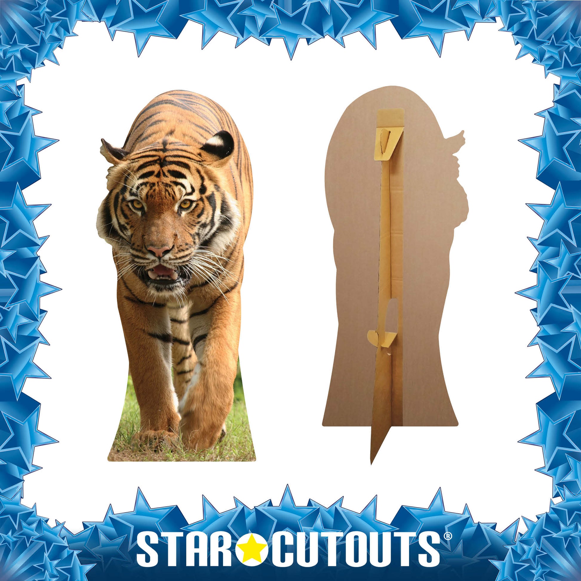 SC053 Tiger Cardboard Cut Out Height 130cm - Star Cutouts