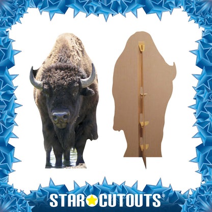 SC059 Bison Buffalo Cardboard Cut Out Height 180cm - Star Cutouts