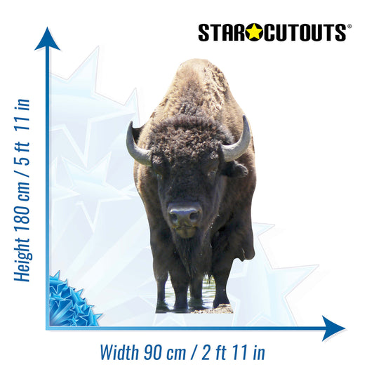SC059 Bison Buffalo Cardboard Cut Out Height 180cm - Star Cutouts