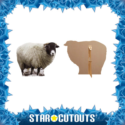 SC064 Sheep Cardboard Cut Out Height 63cm - Star Cutouts