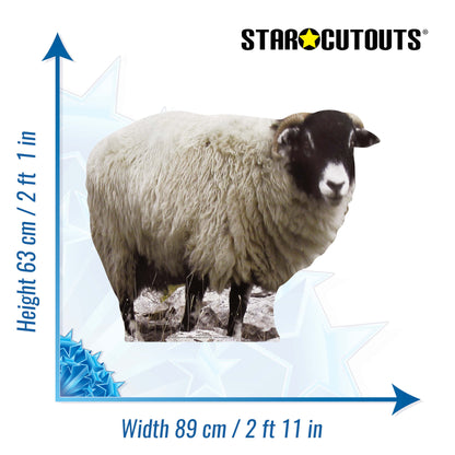 SC064 Sheep Cardboard Cut Out Height 63cm - Star Cutouts