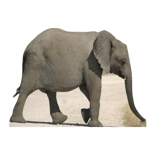 SC069 Baby Elephant Cardboard Cut Out Height 93cm - Star Cutouts