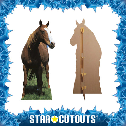 SC070 Mustang - Horse Cardboard Cut Out Height 190cm - Star Cutouts