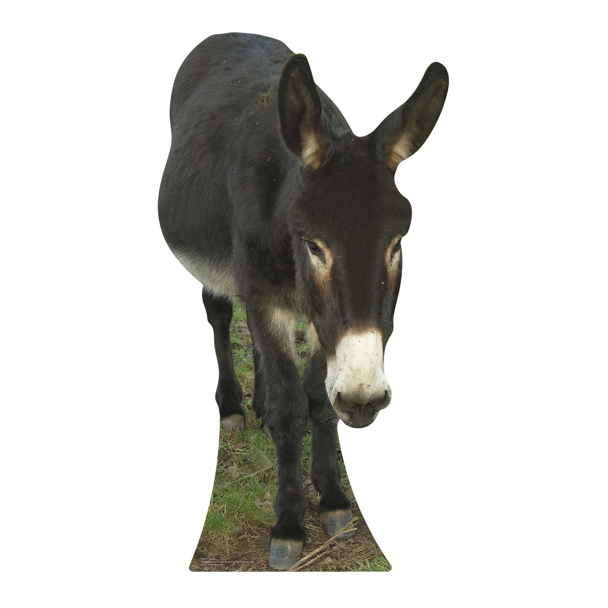 SC071 Donkey Cardboard Cut Out Height 130cm - Star Cutouts