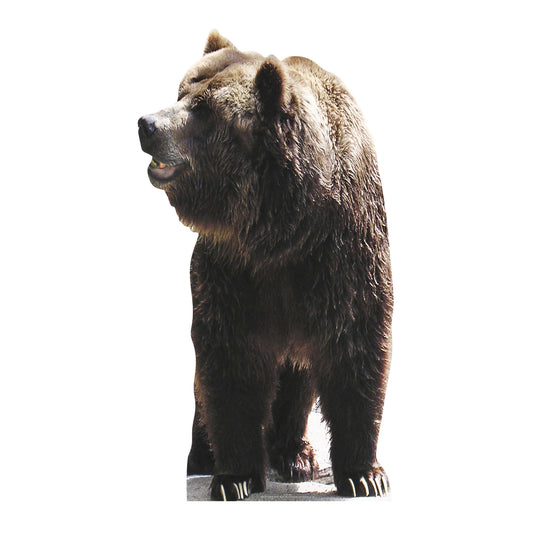 SC072 Bear Cardboard Cut Out Height 165cm - Star Cutouts