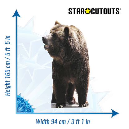 SC072 Bear Cardboard Cut Out Height 165cm - Star Cutouts