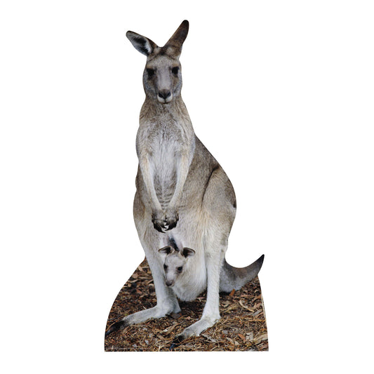 SC073 Kangaroo Cardboard Cut Out Height 195cm - Star Cutouts