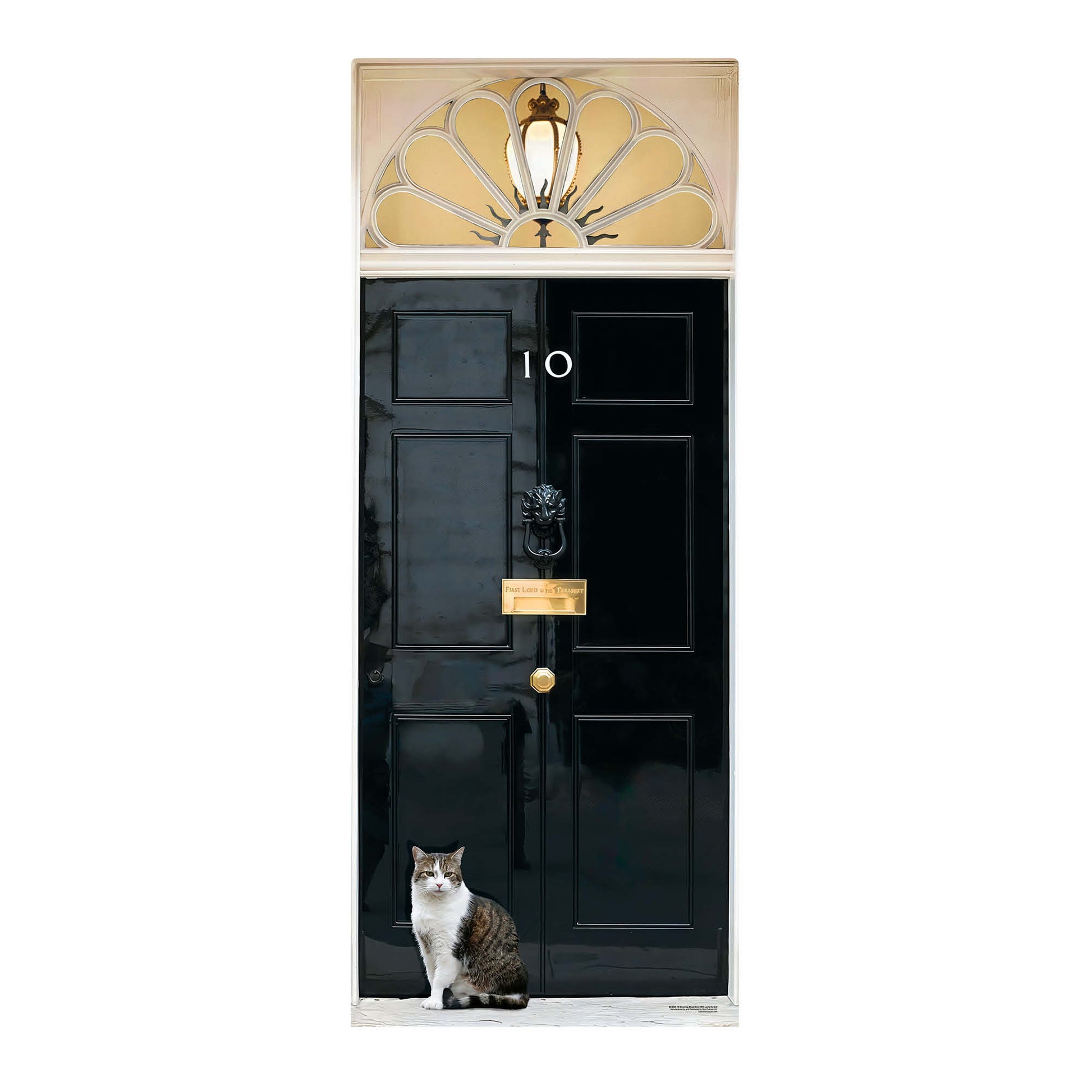 Black door with gold handle and knocker, featuring a cat at the bottom