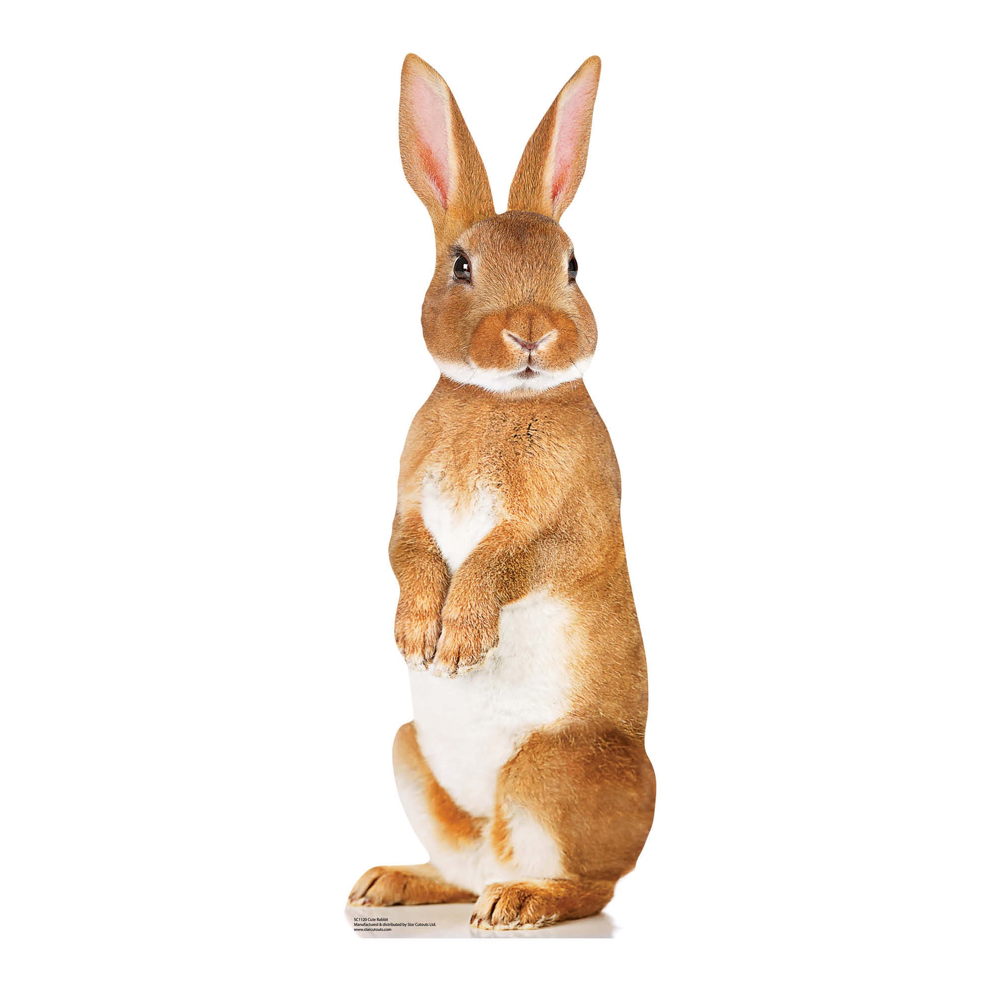 SC1120 Cute Rabbit Cardboard Cut Out Height 90cm - Star Cutouts