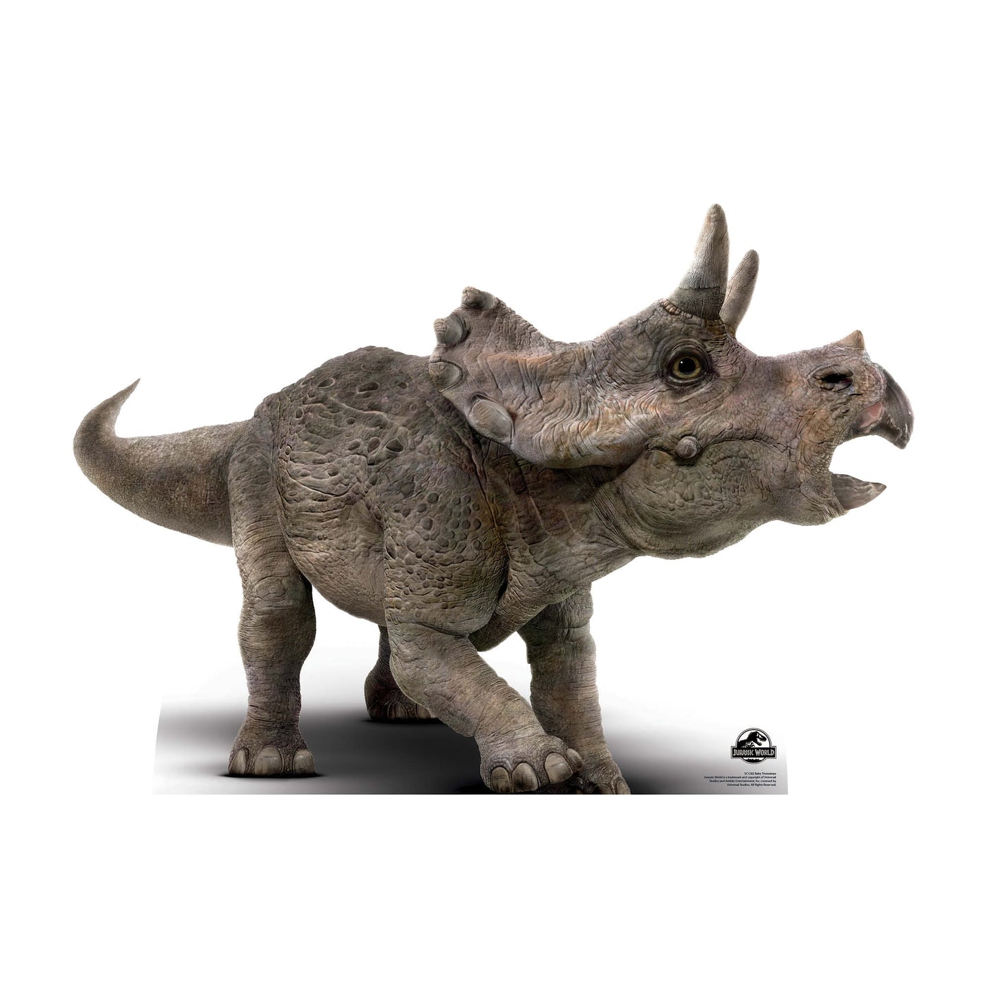 SC1282 Official Jurassic World Baby Triceratops Dinosaur Cardboard Cut Out Height 61cm