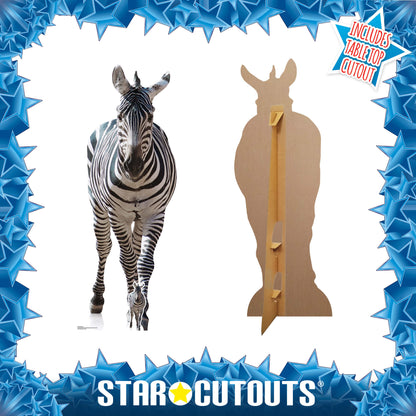 SC1439 Adult Zebra Black and White Cardboard Cut Out Height 162cm - Star Cutouts