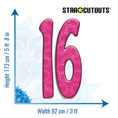 SC150 Number 16 Cardboard Cut Out Height 173cm