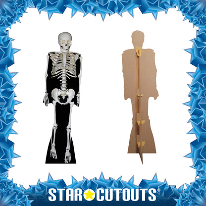 SC160 Skeleton Cardboard Cut Out Height 189cm