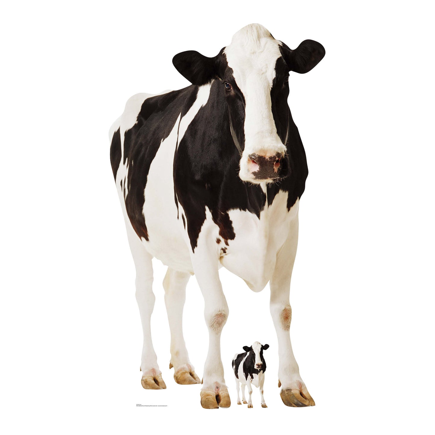 SC163 Cow Cardboard Cut Out Height 165cm - Star Cutouts