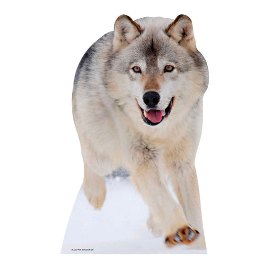 SC221 Wolf Cardboard Cut Out Height 89cm - Star Cutouts