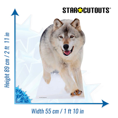 SC221 Wolf Cardboard Cut Out Height 89cm - Star Cutouts