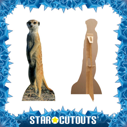 SC227 Meerkat Cardboard Cut Out Height 98cm - Star Cutouts