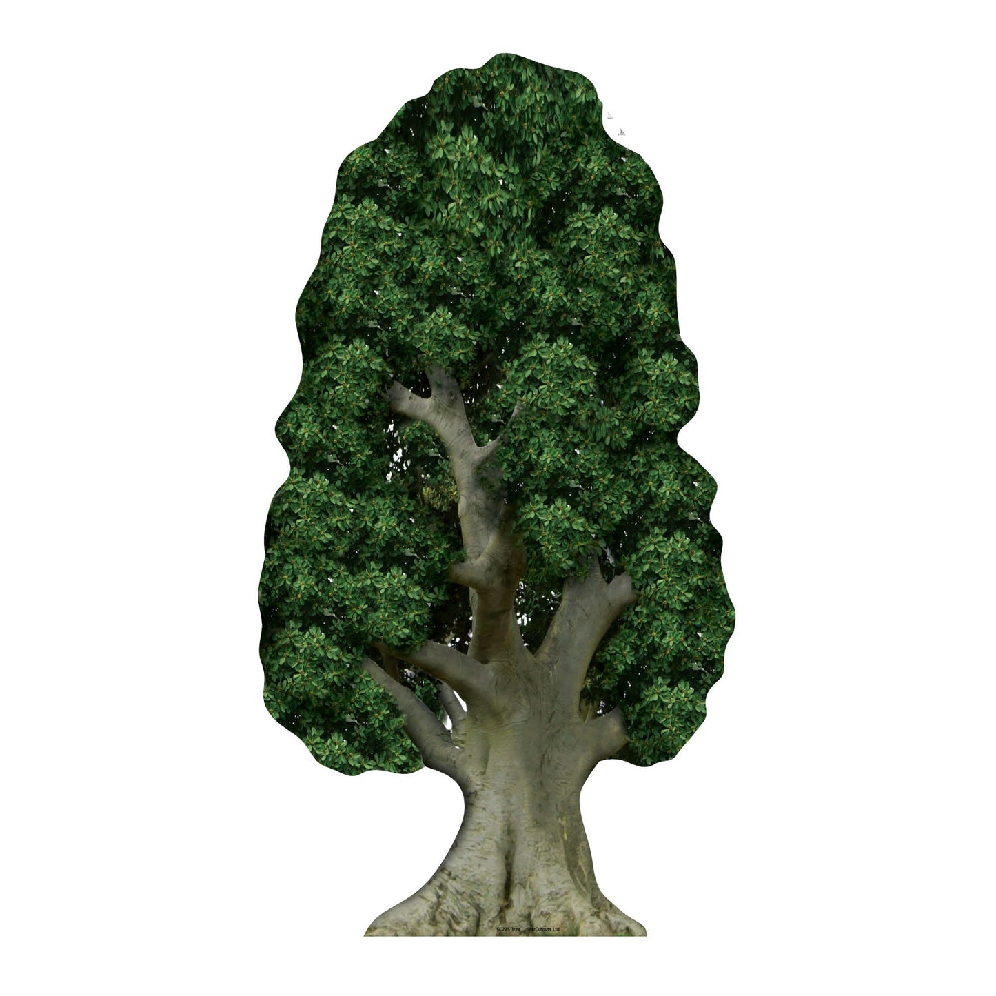 SC275 Tree Cardboard Cut Out Height 179cm