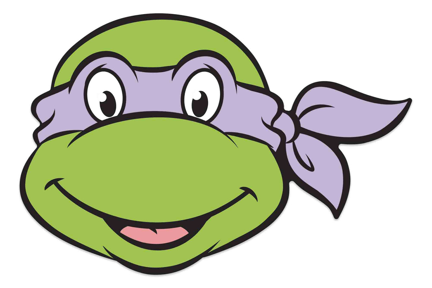 SM498 Donatello Mask Teenage Mutant Ninja Turtles Single Cardboard Face Mask