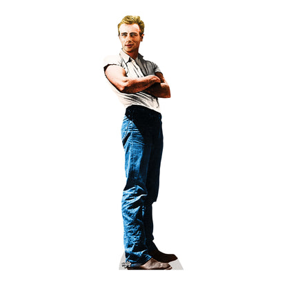 SC521 James Dean - Rebel Cardboard Cut Out Height 183cm