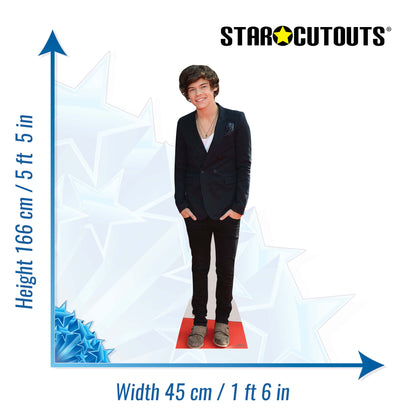 CS573 Harry Styles (Boyband) Height 166cm Lifesize Cardboard Cutout